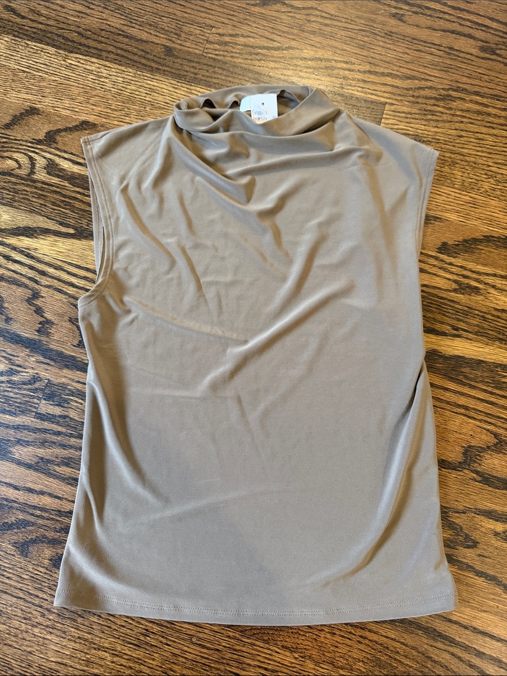 Aritzia Sleeveless Mock Neck Tank in Taupe